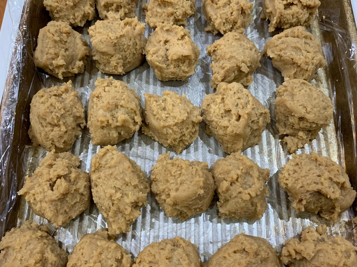 Quarantine Survival Cookies