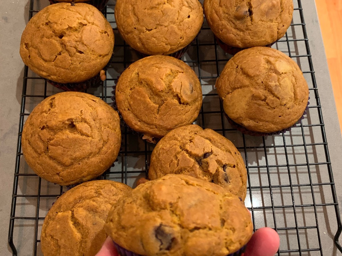 Election Night Baking – Sourdough Discard Pumpkin Spice Chocolate Chip&nbsp;Muffins